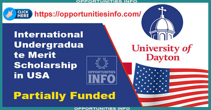 International Merit Scholarships in USA 2023/24 | Free Study in USA