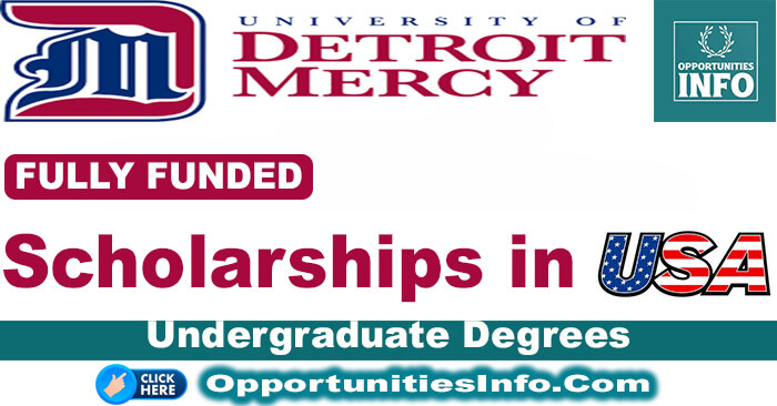 University of Detroit Mercy Scholarships in USA