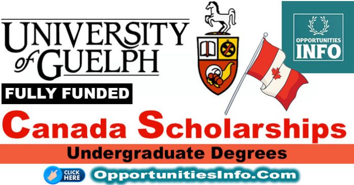 University of Guelph Scholarships in Canada
