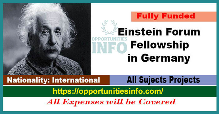 Einstein Forum Fellowship 2023 in Germany [Fully Funded] | Free Study in Germany