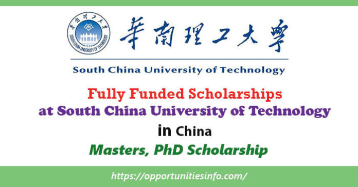 South China University of Technology Scholarship in China