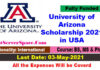 University of Arizona Scholarship 2021 in USA [Fully Funded]