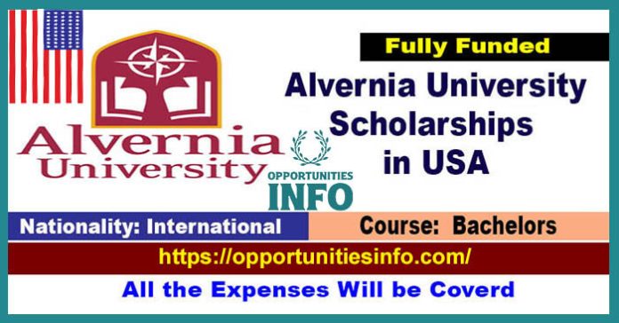 Alvernia University Scholarships in USA