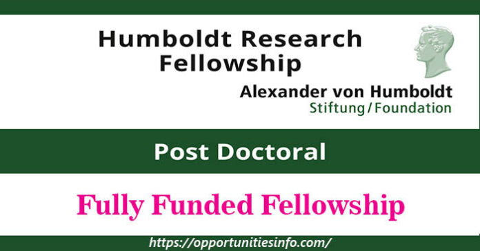 Humboldt Research Fellowship in Germany