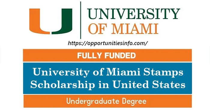 University of Miami Scholarships in USA