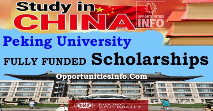 Peking University Scholarships in China