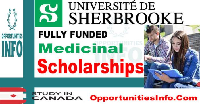 Medicinal Chemistry Scholarships in Canada