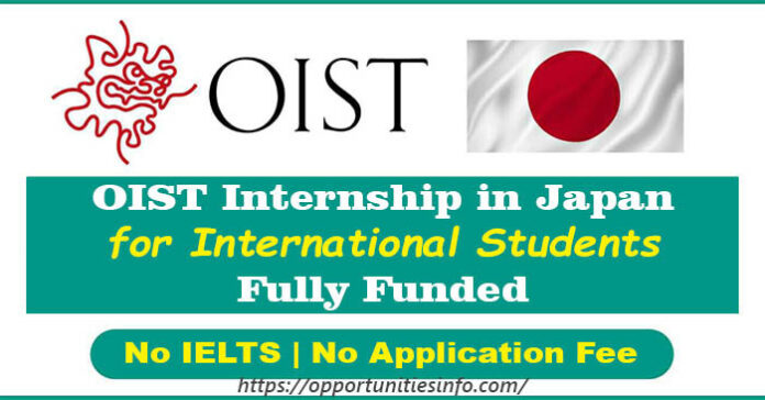 OIST Research Internship