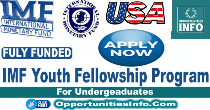 IMF Youth Internship Program in the USA