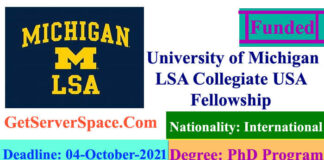 University of Michigan LSA Collegiate USA Fellowship 2021