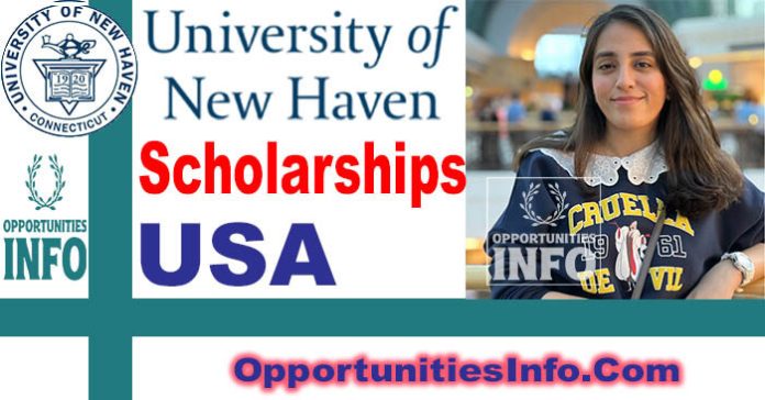 University of New Haven Scholarships in the USA