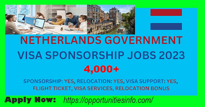 IT Jobs in Netherlands with Visa Sponsorship 2023