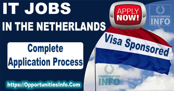 IT Jobs in Netherlands with Visa Sponsorship