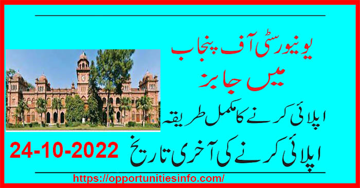 Institute of Education and Research Lahore Jobs Punjab University October 2022