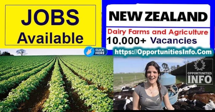 Jobs in New Zealand in Farming