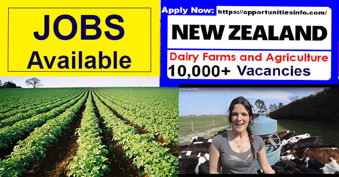 Jobs in New Zealand in Farming, Animals and Conservation 2023