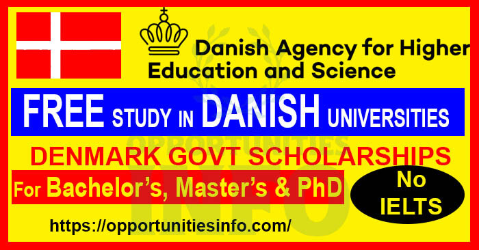 Denmark Government Scholarships for International Students