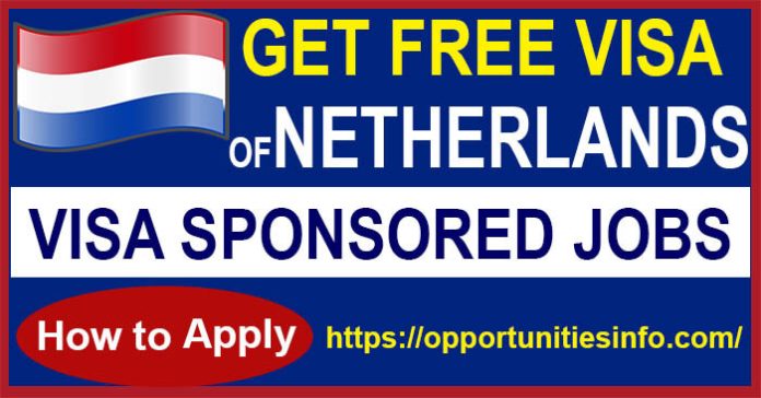 Jobs In Netherlands For Foreigners With Visa Sponsorship 2023