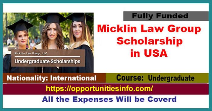 Micklin Law Group Undergraduate Scholarship