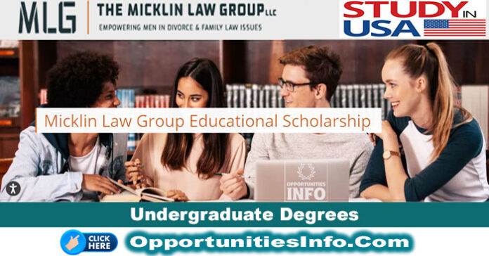 Micklin Law Group Undergraduate Scholarships in USA