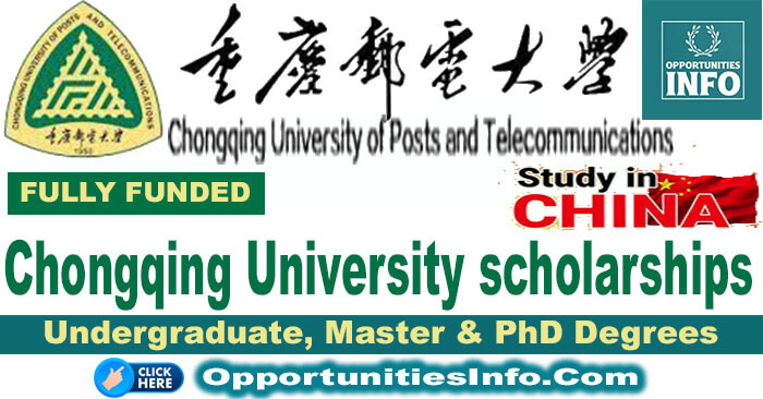 Chongqing University Scholarship in China
