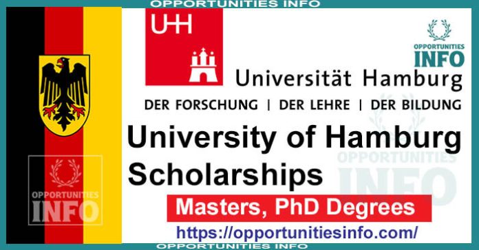 hamburg university phd scholarship