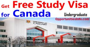 University Of Calgary Scholarships In Canada 300x157 