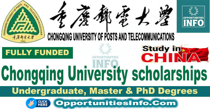 Chongqing University Scholarship in China