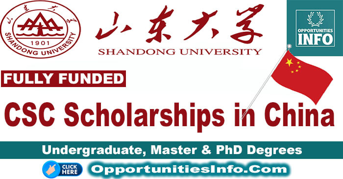 Shandong University Scholarships in China