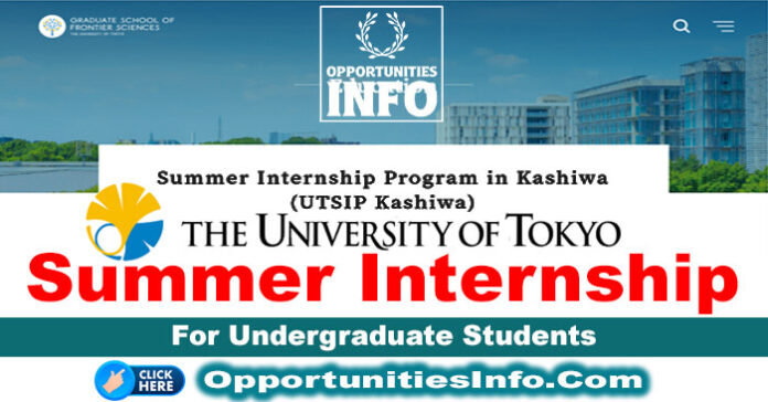 University of Tokyo Summer Internship in Japan