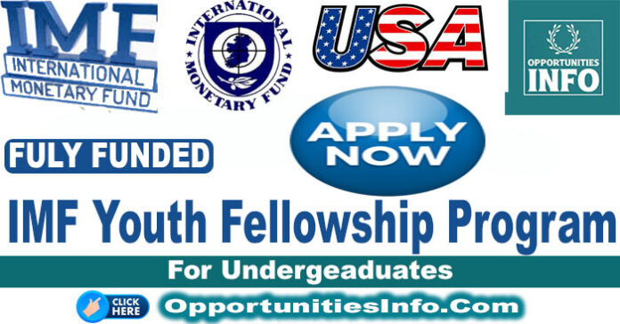 IMF Youth Internship Program in the USA