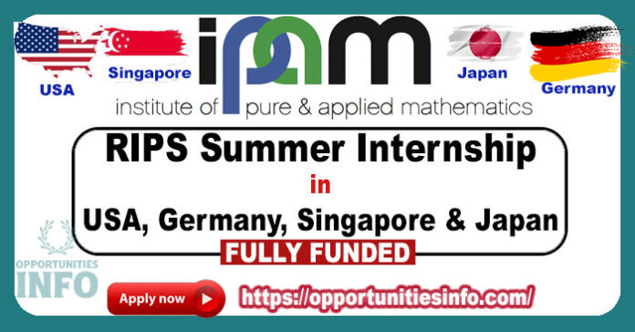 RIPS Summer Internship in Europe