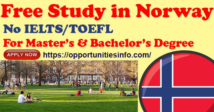 Scholarships in Norway for international students