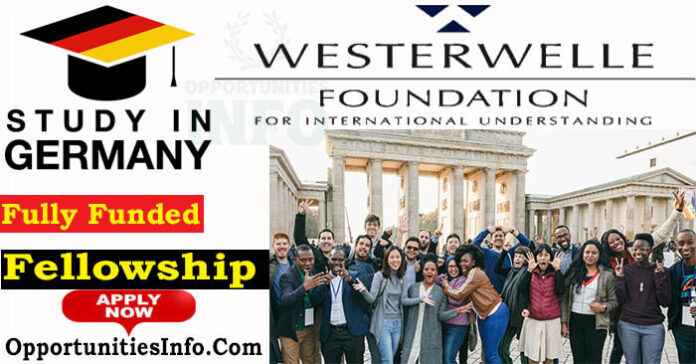 Westerwelle Foundation Internships