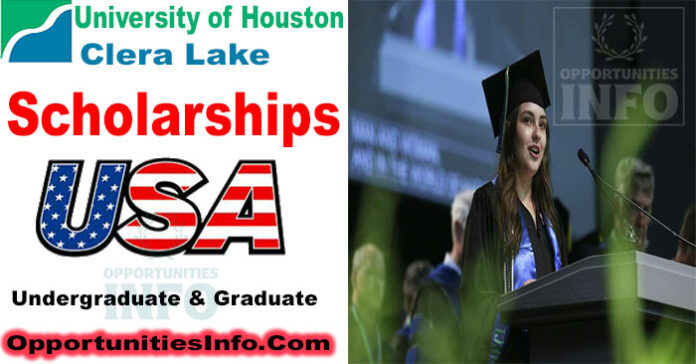 University of Houston Hawk Scholarships in USA