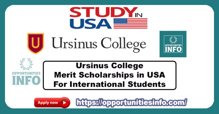 Ursinus College Merit Scholarships in USA