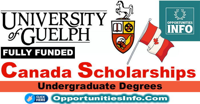 University of Guelph Scholarships in Canada