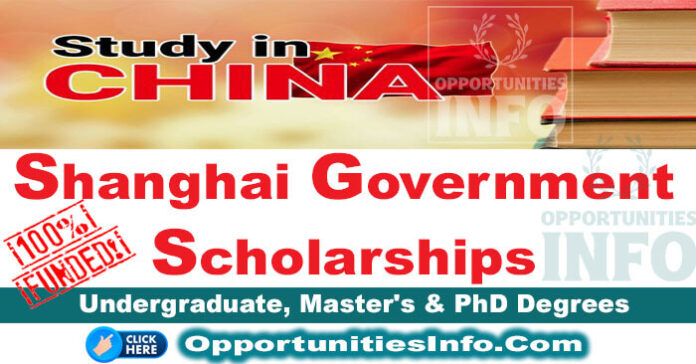 Shanghai Government Scholarships in China
