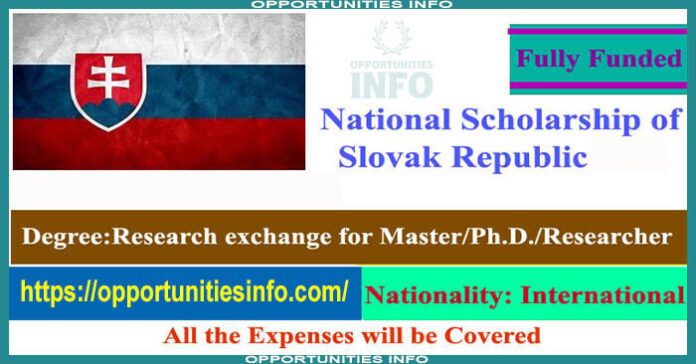 Slovakia Government Scholarships