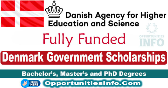 Denmark Government Scholarships in Denmark