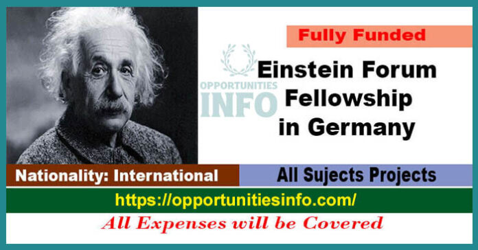 Einstein Forum Fellowship in Germany