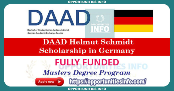 DAAD Helmut Schmidt Scholarships in Germany