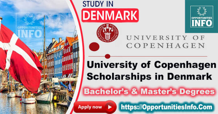 University of Copenhagen Scholarships in Denmark - Danish Government Scholarships