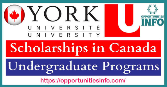 York University Scholarships in Canada